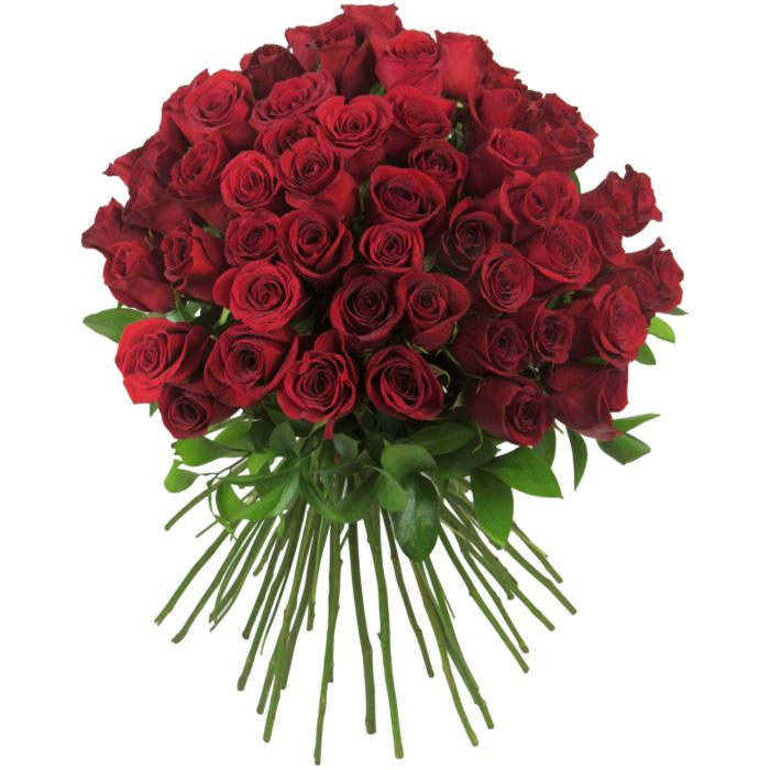 ▷ Ramo de 50 rosas rojas al mejor precio | Flowering